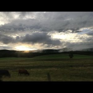 Meet your Posher, Chassitty